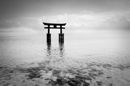 Shirahige Shrine 