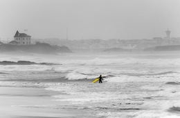 BALEAL 