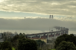 Manhãs de inverno no Tejo 