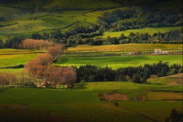 Açores 