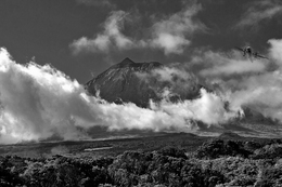 PICO ISLAND - AZORES 