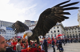 Benfica Campeão 