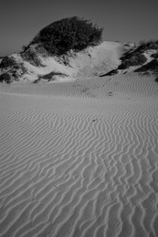 con la testa con Edward Weston 