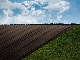 Hill of Fukutomi 