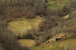 Asturias 