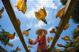 Dried Salted Fish  