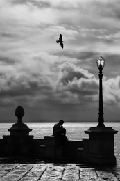 Jonathan Livingston Seagull 