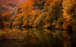 Otoño en la laguna_ 