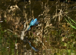 The moment of water landing. 