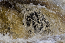 Águas do rio Erges 