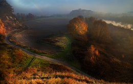 The Autumn Morning 