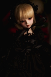 Doll's Portrait 