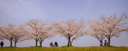 Hanami 