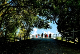 Footbridge 