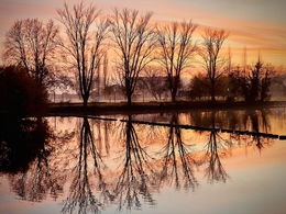 Poldras de Chaves - Reflexos 