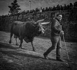 Feira dos Santos - Chaves 