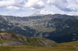 Transalpina 