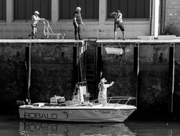 FISHING SCENES - FISH MARKET (LOTA) 