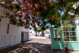 Aquellos días de verano, Lanzarote 