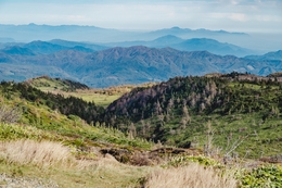 Mountain Landscape 