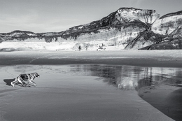 LOW TIDE 