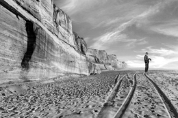 ON A DESERT BEACH 