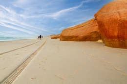 ON A DESERT BEACH 