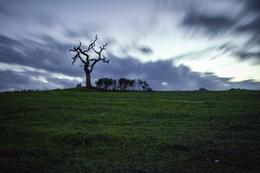 Alentejo  