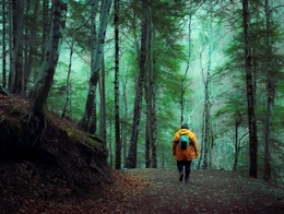 Susana en el bosque. 