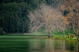 Nas Margens da Lagoa 