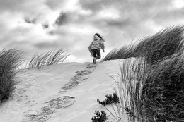 HAIR IN THE WIND 