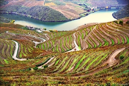 Douro 