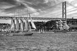 TAGUS RIVER - ON THE ROUTE OF THE LARGE SAILB 