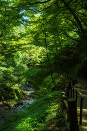 A river and a path 