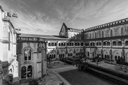 The Gargoyles of the Cloister 