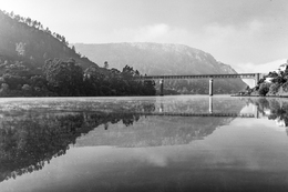 PORTAS DE RODÃO 