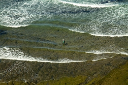 Pesca de Polvos  