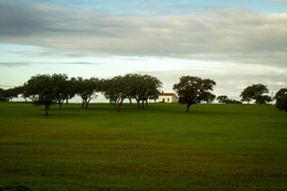 Alentejo 