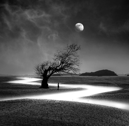The Girl, the Tree and the River 