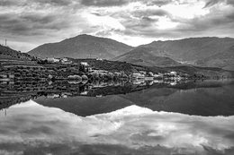 ALTO DOURO 