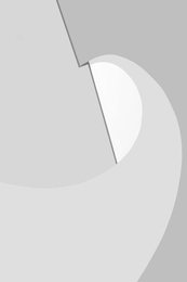 Veil 