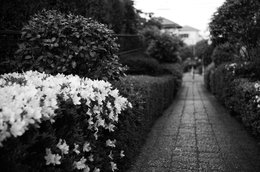 Walkway 