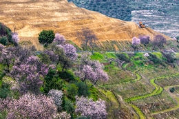 QUINTA DO VESÚVIO 
