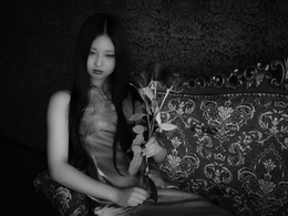 A Bloom of Dreams in the Night 