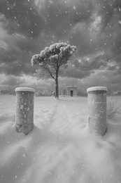 mediterranea snow 