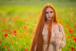 portret 
