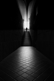Navigating the Path to Enlightenment 