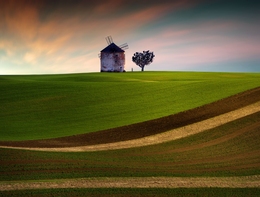 The Windmill 