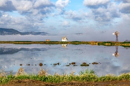 LEZÍRIA DO RIBATEJO 