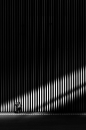 Capturing in Contrast 